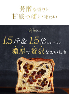 累計7万斤完売! デニッシュ食パン 2本セット (たっぷりレーズン1.5斤+プレーン1斤) 食パン パン パン パン パン