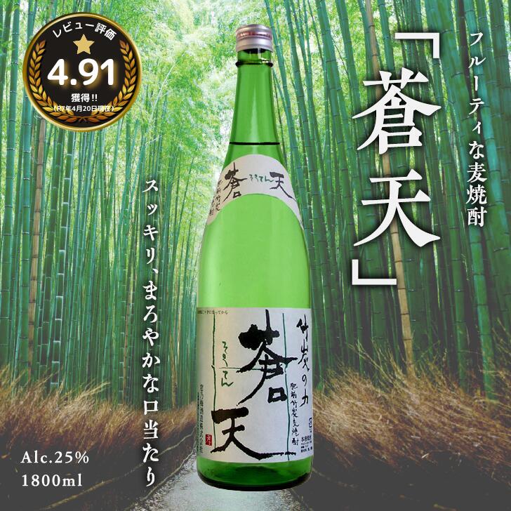 【ふるさと納税】佐嘉酒造　肥前竹炭麦焼酎　蒼天：A090-003