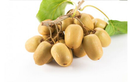 善通寺市産キウイ詰合せ(2)