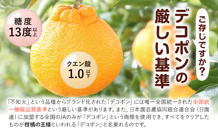 デコポン 約3kg 日本フルーツ株式会社 熊本県 長洲町 《12月中旬-4月上旬頃出荷》 熊本県 長洲町 送料無料 デコポン 果物 秀品---sn_nfdk_12c4j_26_15500_3kg---