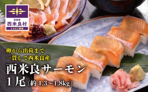 西米良サーモン 1尾　魚 海鮮 サーモン  刺身 完全無投薬 人気 ふるさと 海鮮食品 魚介類 魚介 鮭 カルパッチョ マリネ 完全無投薬 宮崎県 西米良村　