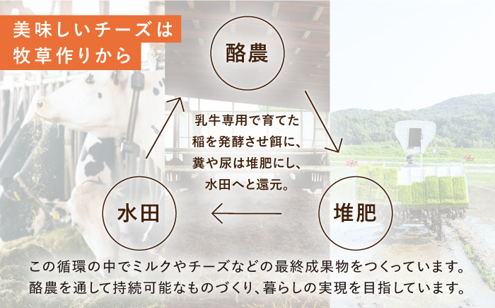 【12回定期便】 ナカシマファームのおすすめ チーズ 6種セット [NAJ007]ナカシマファーム チーズ チーズセット 酪農家 手づくり チーズ チーズ 食べ比べ モッツァレラチーズ さけるチーズ 
