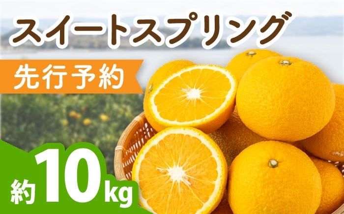 
            【先行予約】みかん スイートスプリング 約10kg みかん【田崎FARM】[OCU001] / 柑橘 フルーツ 果物 みかん ミカン 蜜柑 柑橘 スイートスプリング みかん フルーツ 柑橘類 九州みかん 柑橘 九州みかん かんきつ すいーとすぷりんぐ 冬みかん 先行予約
          