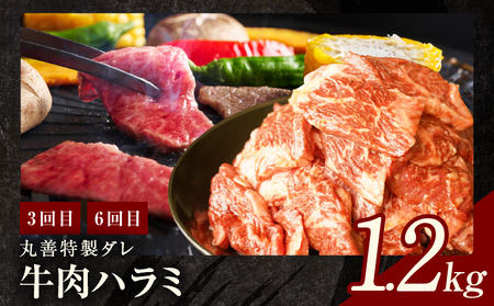 焼肉定期便 総量6.8kg（肩ロース／牛タン／牛ハラミ）全6回 丸善味わい加工【毎月発送コース】