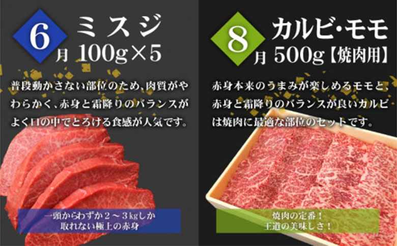 こゆ牛プレミアム定期便＜全6回＞ 1年間 宮崎黒毛和牛 偶数月配送※2025年2月開始 宮崎県産ブランド牛  A4等級以上 黒毛和牛 シャトーブリアン 希少部位を含む和牛6品【F42-25】