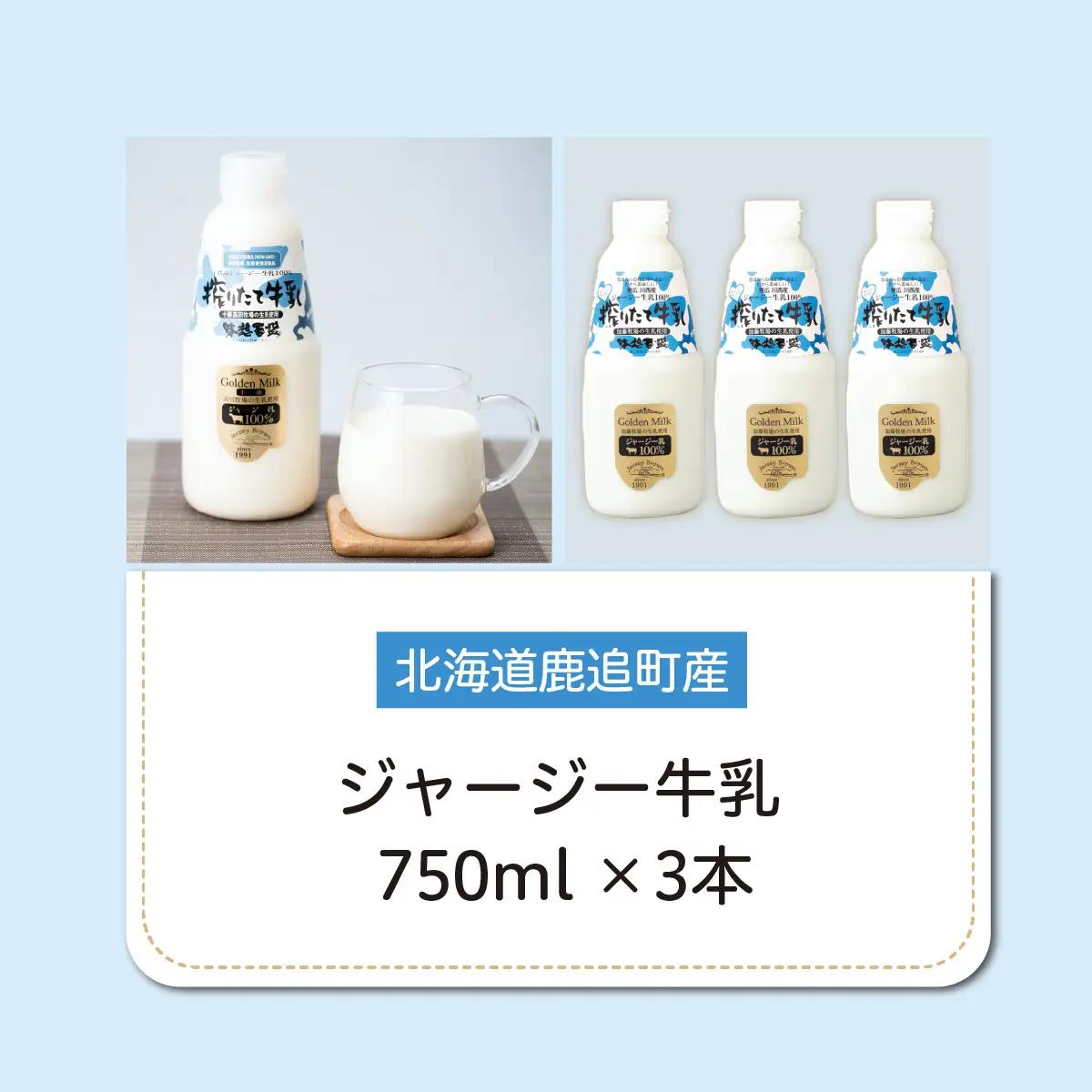 ジャージー牛乳 750ml ×3 SKM046