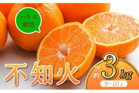 不知火 ハウス栽培不知火 約3kg 宇城市産 デコポン® デコポン同品種 デコポン ®はJA熊本果実連の登録商標 デコポン不知火 不知火はデコポンの品種名