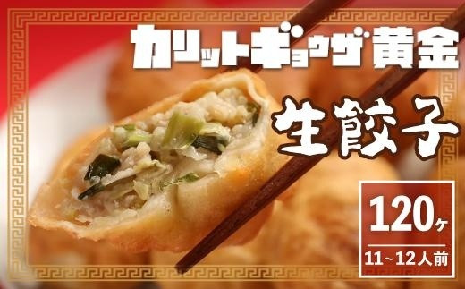 
カリットギョウザ生餃子120ケ【11～12人前】ジューシー
