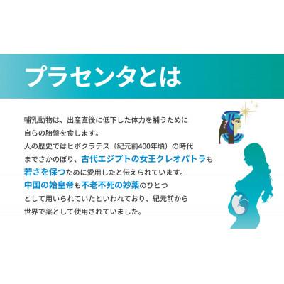 ふるさと納税 湖西市 SPFプラセンタ【30箱セット】(1箱30粒入) |  | 01