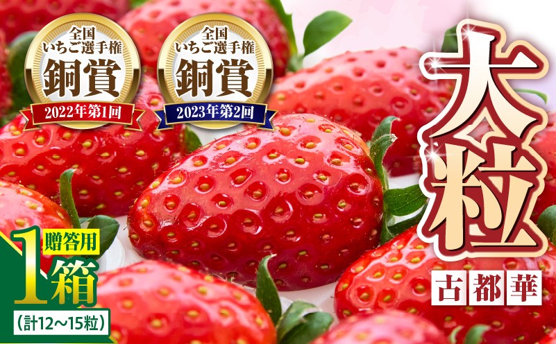 
贈答用いちご【数量限定】『古都華』 いちご 数量限定 古都華 12～15粒 化粧箱 国産 国産苺 ストロベリー 果物 果実的野菜 フルーツ デザート おやつ 糖度 濃厚 香り 鮮やか 甘い ビタミン 奈良県産 お取り寄せ 贈答用 送料無料
