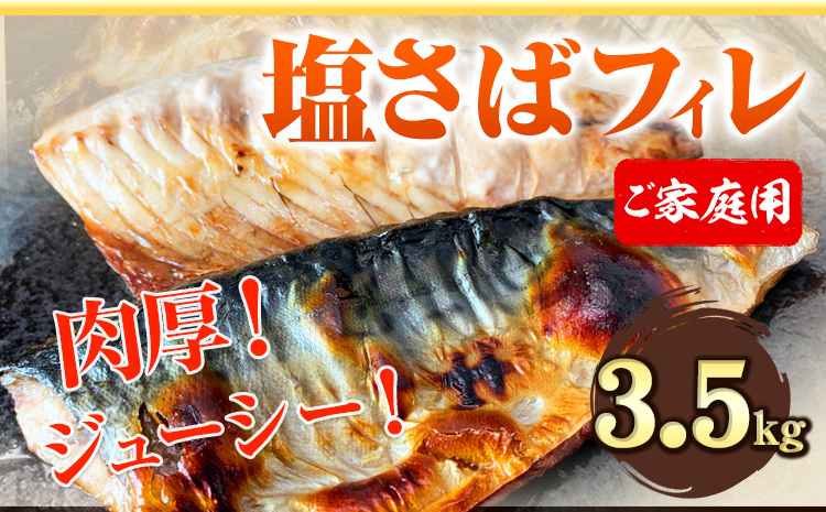ご家庭用 塩さばフィレ 3.5kg 株式会社魚鶴商店 《30日以内に出荷予定(土日祝除く)》 さば 塩サバ 鯖---wsh_fuot81_30d_24_20000_3500g---