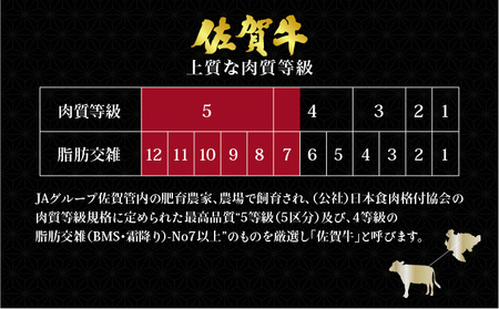 佐賀牛シャトーブリアン600g(200g×3枚)