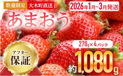 福岡産 あまおう いちご 270g×4パック 1080g