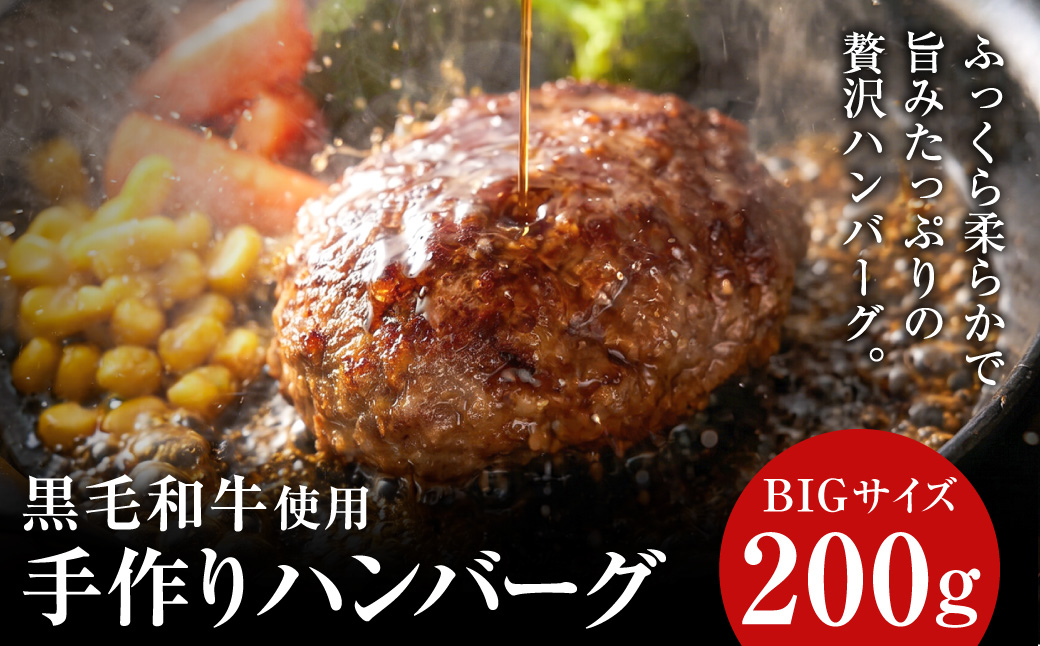 黒毛和牛使用！ 200gのBIG手作りハンバーグ 200g×5個 （計1kg） ／ 黒毛和牛 黒毛和種 和牛 国産牛 牛肉 お肉 肉 大阪府 阪南市 冷凍