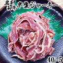 【ふるさと納税】おおいた和牛 半生ジャーキー（40g×5）【ニード牧場】 お楽しみ 黒毛和牛 豊後牛 牛肉 お肉 人気 ＜129-003_5＞