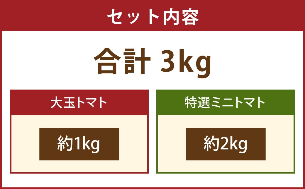 【2026年1月下旬発送開始】Vegettimoトマトセット 大玉トマト1kg＋特選ミニトマト2kg（熊本県産）