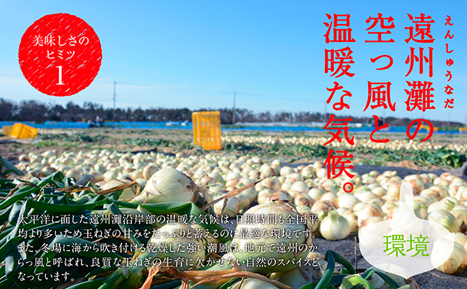 浜松篠原産【葉付新白玉ねぎ】プレミアムホワイト30玉【A