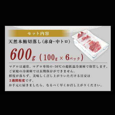 ふるさと納税 室戸市 【遠洋漁船高豊丸漁獲】天然本マグロ(赤身・中とろ)切落し600g　訳あり 魚介類加工品 15000円 |  | 03