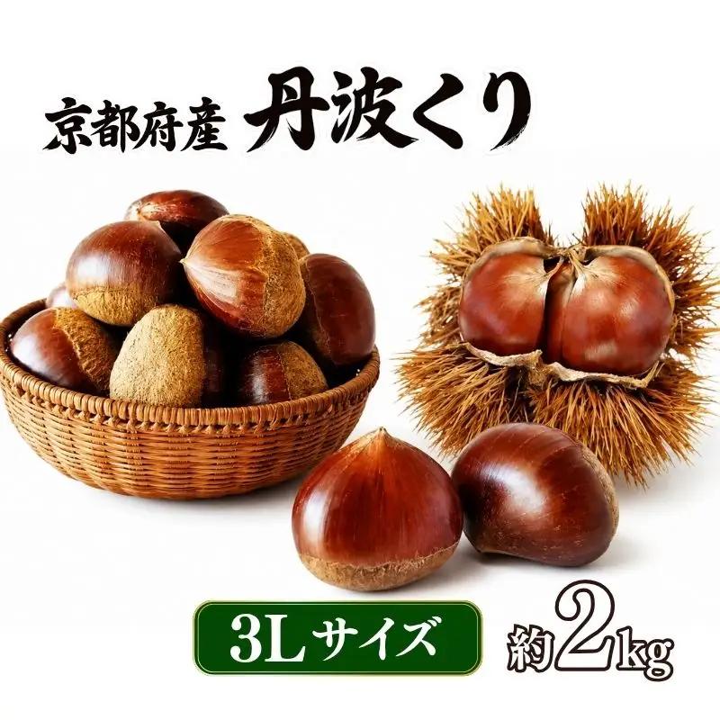 先行予約 2026年度産 丹波くり 約2kg 3Lサイズ 栗 京都