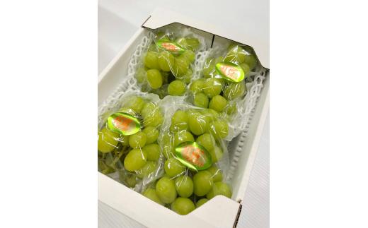 【2026年先行予約】訳ありだけど、甘～いシャインマスカット/約2kg (岡山県産) 【KF-B020-03】