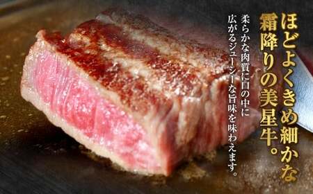 【定期便6か月】岡山 黒毛和牛 美星牛 A4等級以上 牛脂付き 6か月定期便 合計約2400g 生産者直送便 美星町 美星牧場 定期便【黒毛和牛 肉 牛 岡山県 倉敷市 おすすめ 人気】