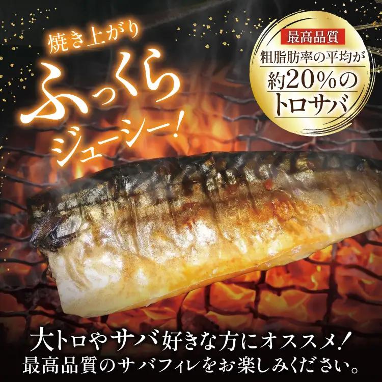 訳あり トロ塩サバ フィレ LLサイズ 2.5kg ★フィレ1枚230g超え！