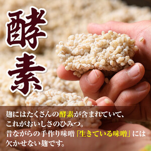 【A73001】＜定期便・全3回(隔月)＞手作りいろは味噌(計6kg・2kg×3回) 鹿児島 国産 味噌 みそ 田舎みそ 田舎味噌 手作り味噌 調味料 はだか麦 定期 隔月【いろは味噌】