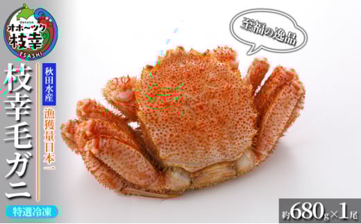 【漁獲量日本一】至福の逸品！特選冷凍「枝幸毛がに」約680g×1尾 毛蟹 毛ガニ オホーツク 北海道