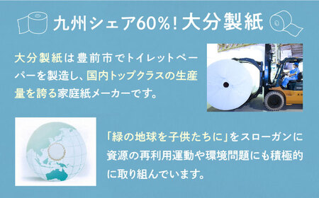 【全3回定期便】【細穴タイプ】トイレットペーパー シングル 24ロール 長巻き 130m (6ロール×4パック) 宅配 コアレス 《豊前市》【大分製紙】 [VAA059]