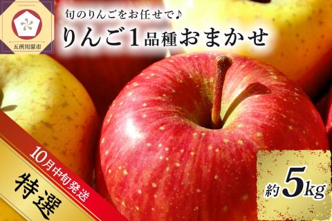 【2024年10月中旬発送】 【特選】 旬の美味しい りんご 約5kg 青森産 【おまかせ1品種】