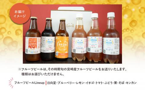 青空エールこだわりのクラフトビール飲み比べ詰め合わせセット〈フルーツビール入り〉6種6本（330ml 瓶×3本、500mlペットボトル×3本）|フルーツ ビール