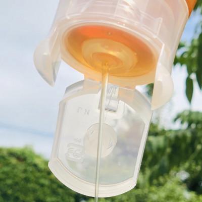 ふるさと納税 大牟田市 みつばちの雫　国産百花蜜　500g |  | 01