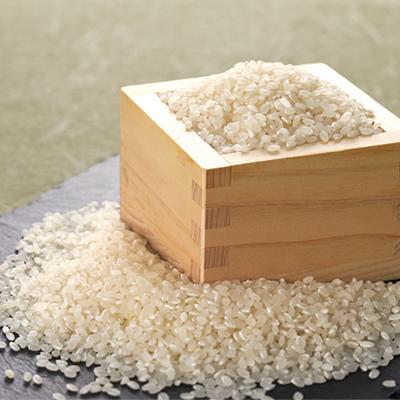 ふるさと納税 稲敷市 【令和7年産】茨城県稲敷市産こしひかり10kg(5kg×2) |  | 02