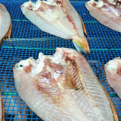 ふるさと納税 舞鶴市 贅沢干物セット |  | 01