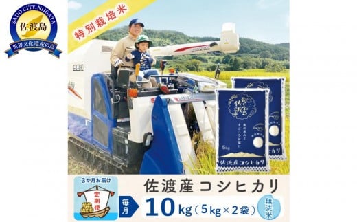 【3か月定期便】佐渡島産コシヒカリ 無洗米10Kg 令和7年 特別栽培米 農家直送
