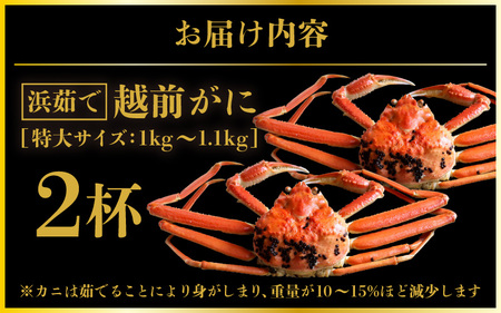 越前がに本場の越前町からお届け！越前がに浜茹で 特大サイズ ×2杯（生で約1kg～1.1kg）【11月発送】 [e57-x006_11] 越前町 雄 ズワイガニ ボイル 冷蔵 越前がに 越前ガニ 越前