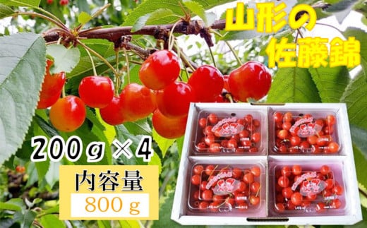 山形産 さくらんぼ 佐藤錦 秀 L～2Lサイズ 800g(200g×4パック)  FY25-837