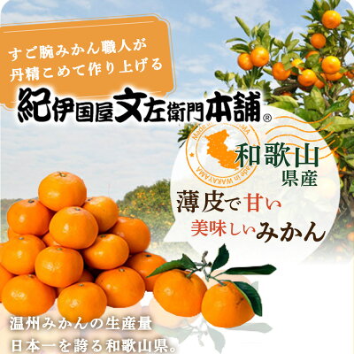 V7440_有田みかん 約15kg(+傷み補填分1kg)=合計16kg【サイズおまかせ】 / 産地直送 / 紀伊国屋文左衛門本舗（お届け日指定不可）