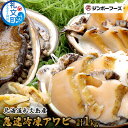 【ふるさと納税】北海道礼文島産　急速冷凍アワビ500g×2　【魚介類 アワビ 鮑】