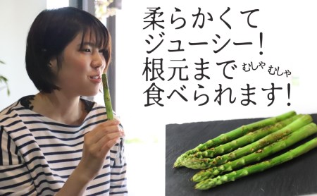 《期間限定》飛騨のきれいな水と澄んだ空気が育んだ柔らか甘いアスパラガス5kg![F0035] syun80