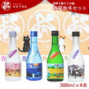 【ふるさと納税】日本酒 飲み比べ 新潟 C0-07越後雪紅梅 四季を旅するお酒 春夏秋冬セット300ml×4本【長谷川酒造】