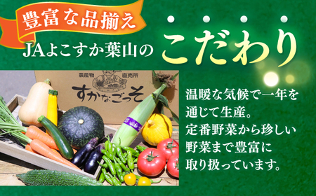 【先行予約】よこすか 早春キャベツ 8玉入り  キャベツ きゃべつ 早春キャベツ 早春きゃべつ 野菜 きゃべつ 野菜 【JAよこすか葉山】 [AKFO006] 7000円 7千円