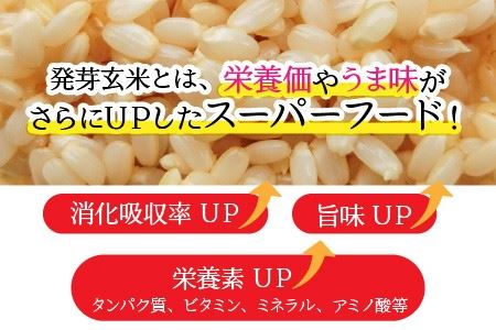 【令和5年産】【発芽玄米】無農薬 福井県産 コシヒカリ特選 真空パック 3kg  ～玄米以上の栄養価と白米に近い柔らかさ～ [A-2922]