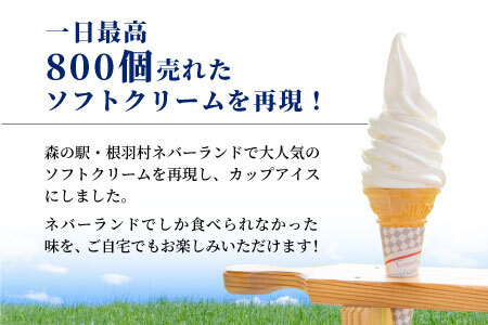 〈スピード発送〉ミルク感たっぷり★生ソフトクリームアイス＆プレミアム 西尾の抹茶アイス 16個 