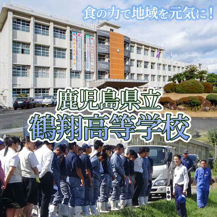 鶴翔高校「3年A組の」豚味噌仕込(100g×12缶) 豚みそ ぶたみそ 大容量 鹿児島県産 阿久根市 国産 九州産 特産品 みそ 調味料 調理 料理 ごはん おかず 常温保存【公益財団法人阿久根市美し