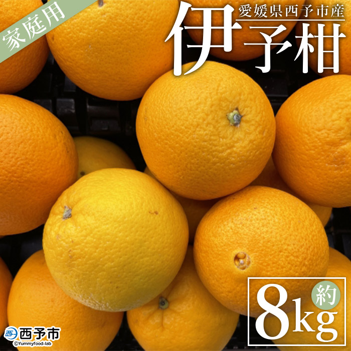 ＜愛媛県西予市産 伊予柑 家庭用 約８kg＞ 訳あり 自宅用 果物 くだもの ミカン 柑橘 フルーツ いよかん イヨカン 産地直送 愛媛県 西予市