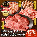 【ふるさと納税】宮崎牛 バラエティー 焼肉 ファミリーセット ヒレ 豚肉 肩ロース 豚肩ロース 鶏 鶏肉 モモ 鶏モモ ウインナー 焼肉 BBQ キャンプ アウトドア 牛肉 肉 お肉 ブランド牛 国産牛 料理 アレンジ 便利 パック 4等級以上 贈り物 ギフト 宮崎県 宮崎市 送料無料