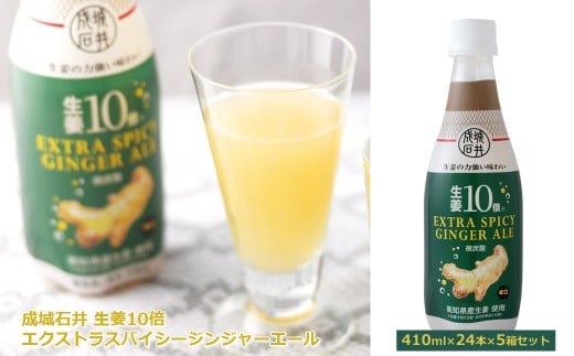 成城石井 生姜10倍 エクストラスパイシージンジャーエール 410ml×24本×5箱セット