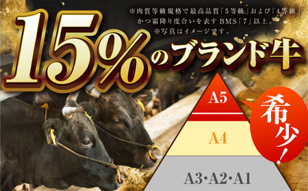 【全国屈指のブランド牛】佐賀牛 焼肉セット（モモ/カタ赤身/肩ロース） 【吉祥】[HCW002]