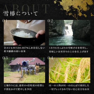 ふるさと納税 津南町 【毎月定期便】高級魚沼産コシヒカリ「雪椿」精米 2kg(2kg×1袋) 特別栽培米全6回 |  | 02